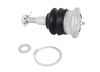 WL Ball Joints