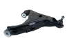 WL Control Arms - Front