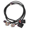 EDE Wiring Harness