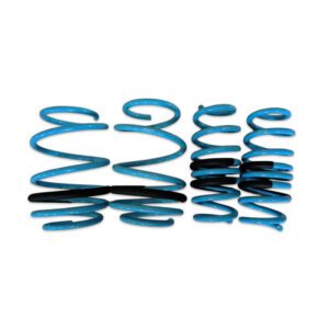 BX Lowering Springs