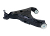 WL Control Arms - Front