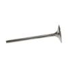 WIS Intake Valves