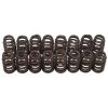 EDE Valve Springs