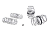 WL Performance Springs